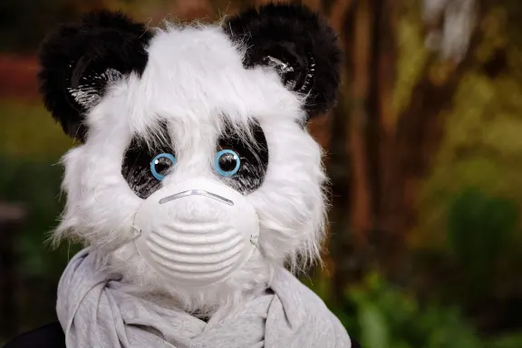 Casino Rich Prize Tugi